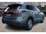 Volkswagen Tiguan 1.5 eHybrid Life Edition | Trekhaak | 360 Camera | IQ  LED | Cipressino Grün |