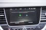 Opel Grandland 1.6 Turbo Hybrid Elegance / 1e eig. / Camera / AGR-stoelen / Navigatie