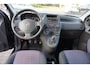 Fiat Panda 1.2 Edizione Cool , 87dkm , trekh , Incl nw apk/beurt & 3 mnd garantie