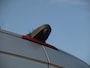 Mercedes-Benz Sprinter 314 2.2 CDI 366 L2H2 Automaat | Personenbus met rolstoellift | Camera | Airco | Bluetooth | NL-Auto |