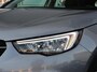 Opel Grandland X 1.2 130PK Turbo Business Executive | D. riem vervangen |