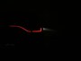 Renault Arkana 1.3 TCE 140PK ESPRIT ALPINE EDC | Panoramadak | 360 camera | El. stoelverstelling | Winterpakket