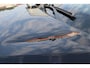 Volkswagen Polo 1.2 TDI BlueMotion | Airco | Cruise control | Zie foto's!