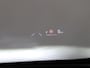 Toyota Yaris 115pk Hybrid Executive Apple Carplay/Android Auto | Climate