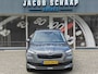 Skoda Kamiq 1.0 TSI Ambition / Trekhaak / Carplay / Cruise Control / DAB / 16'' /
