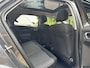 Citroën C4 Cactus PureTech 110pk S&S BUSINESS PLUS NAVIGATIE PANORAMADAK