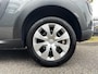Citroën C4 Cactus PureTech 110pk S&S BUSINESS PLUS NAVIGATIE PANORAMADAK
