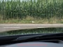 BMW 3-Serie Touring 320i High-Exe TREKHAAK / HEAD-UP / CARPLAY / SCHUIF-KANTELDAK