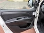 Opel Combo 1.3 CDTi L2H1 Edit. airco trekhaak cruise control