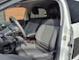 Citroën C4 Cactus 1.2 PureTech Shine 1e Eigenaar!/Navigatie/Parkeercamera/Trekhaak