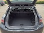 Lexus CT EXECUTIVE LINE TREKHAAK/CAMERA/PDC/CRUISE/STOELVERW/INCL.FIETSENDRAGER