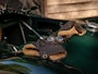 Jaguar C-type Replica | 26-year-ownership