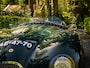 Jaguar C-type Replica | 26-year-ownership