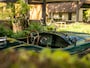 Jaguar C-type Replica | 26-year-ownership