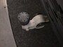 Volvo XC60 T8 POLESTAR ENGINEERED SCHUIFDAK HARMAN KARDON CAMERA GETINT GLA