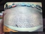 Toyota Verso 1.8 VVT-i Business 7p.PANORAMA/TREKHAK