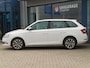 Skoda Fabia Combi 1.0 TSI Business Edition, Carplay + Android Auto / Camera + Sensoren / Cruise Control / 16'' LMV