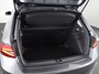 Skoda Fabia 1.0 TSI Business Edition | Graphite Grey Metallic | DSG-Automaat | Verwarmbare Voorstoelen | Draadloze Carplay