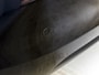 Fiat 500C Icon 42 kWh