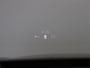 Renault Austral E-Tech full hybrid 200pk esprit Alpine | Vijf jaar garantie | 4Control | HUD | Panoramisch dak | Harman Kardon |