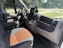 Fiat Camper P719 moveo Standaard