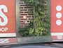 Audi A4 Avant 40 TDI quattro Design Pro Line Plus | Zeer compleet! | Schuif-kantel dak | Stoelkoeling | Nette auto | Export |
