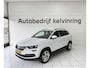 Skoda Karoq 1.0 TSI Bus. Ed Bovag Garantie NAP