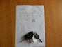 Citroën Berlingo XL 1.2 PT SHINE*7 PERS*NAVI*CR CONTR*TREKH*1e EIG*