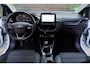 Ford Fiesta 1.0 EcoBoost Titanium 100PK, Airco, Cruise, Camera,Trekhaak, LM Velgen, Ned. Auto.