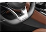 Mercedes-Benz AMG-GT Roadster 4.0 Luchtv Camera Burmester Nekverw NL Auto Dealeronderhouden