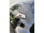 Peugeot 208 1.6 GTi| 200 PK| Cruise |Distributie| Start/Stop