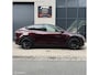 Tesla Model Y Long Range AWD + MMX PACK + IAP +TREKHAAK