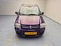 Fiat Panda 1.2 Edizione Cool Airco