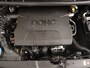 Kia Picanto 1.0 CVVT Design Edition | Lederen bekleding | Camera | Cruise Control | 1e Eigenaar | Prijspakker