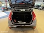 Ford Fiesta 1.25 Titanium CLIMA/CRUISE/NAP/APK