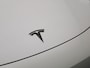 Tesla Model 3 Standard RWD Plus 60 kWh | Panoramadak | Stoelverwarming | Climate Control | LED |