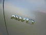 Kia Sportage Kia sportage 2.0 Benzine 4WD Automaat schuifdak lmv trekhaak 120.000km
