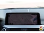 BMW X4 xDrive30i M-Sport M-Pakket |PANODAK|H&K|MEMORY|KEYLESS|CAMERA|CARPLAY|TREKHAAK|STOELVERW.