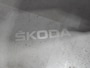 Skoda Karoq 1.5 TSI ACT 150pk DSG Sportline Business / Camera / Matrix-LED / Keyless / Navigatie / Demonstratieauto
