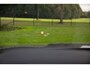 Audi A7 Sportback 55 TFSI e quattro Competition , Panoramadak, Head-up Display, S7 Diffuser, RS-seats