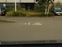 Volkswagen ID.7 Pro Business 77 kWh | HUD | DCC | Stoel verwarming & ventilatie | Voorruitverwarming | 360 camera | Elektrisch verstelbare voorstoelen + memory | Premium audio |