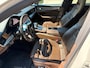 Porsche Panamera 2.9 4 E-Hybrid Pano Luxe