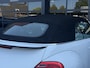 Volkswagen Beetle Cabriolet 1.2 TSI Design LED | Cruise | Stoelvw