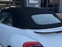 Volkswagen Beetle Cabriolet 1.2 TSI Design LED | Cruise | Stoelvw