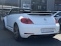 Volkswagen Beetle Cabriolet 1.2 TSI Design LED | Cruise | Stoelvw