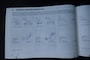 Nissan Qashqai 1.5 e-Power Limited Edition NAVI, Camera, Panoramadak, 1e eigenaar
