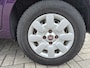 Fiat Panda 1.2 Edizione Cool