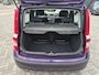 Fiat Panda 1.2 Edizione Cool
