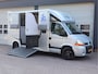 Renault Master 3.0dCi 136pk Paardenwagen Horsetruck Dubbel Cabine 5 Zits - Marge - Bank - Trekhaak
