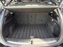 BMW X2 sDrive18i Sport Line Panoramadak Trekhaak LED Sportstoelen